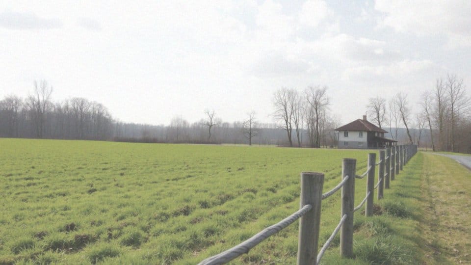 Jak przysłowia o miesiącach uczą dzieci o przyrodzie?