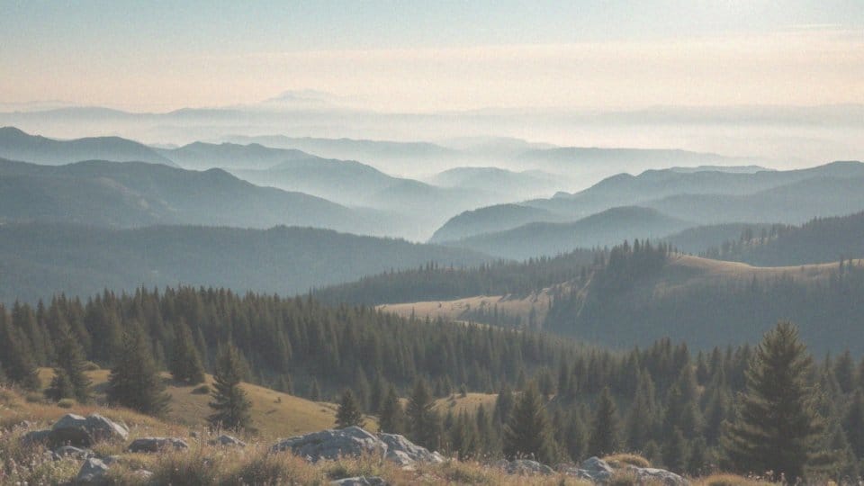 Jakie widoki można podziwiać z Turbacza i w okolicy Gorców?