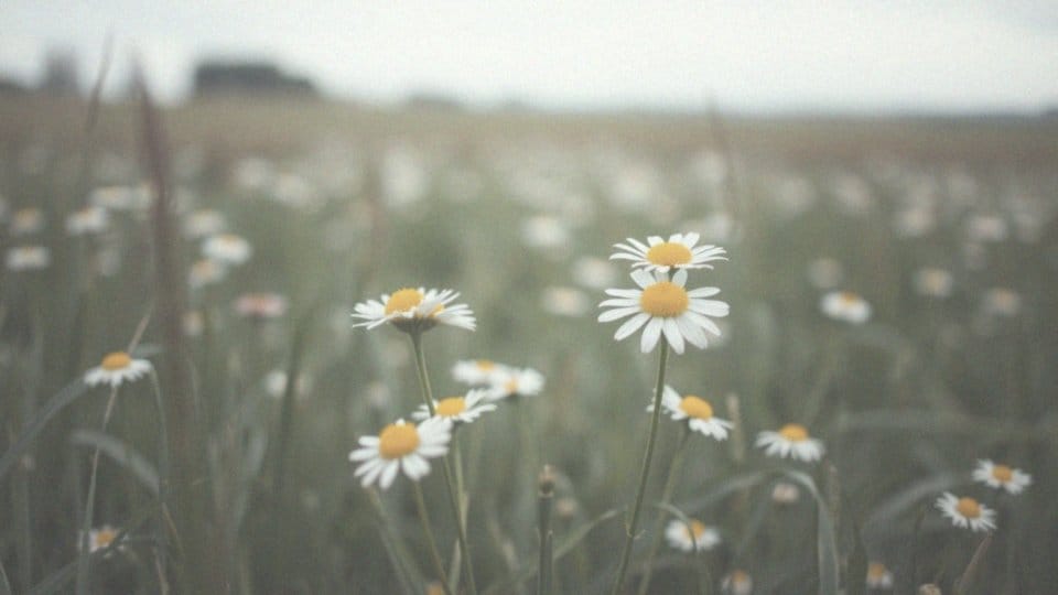 Ból jajnika – objawy, przyczyny i kiedy szukać pomocy?