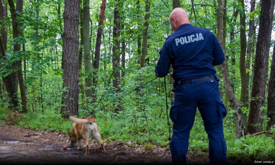 Nietrzeźwy motocyklista zatrzymany dzięki czujności świadka w Markach